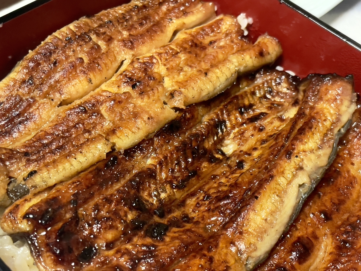 横浜うなぎの名店！「割烹蒲焼わかな」ひたむきに”美味しい”を追求した受け継がれる伝統の味 【本能ブログ】大人の物欲全開ブログ