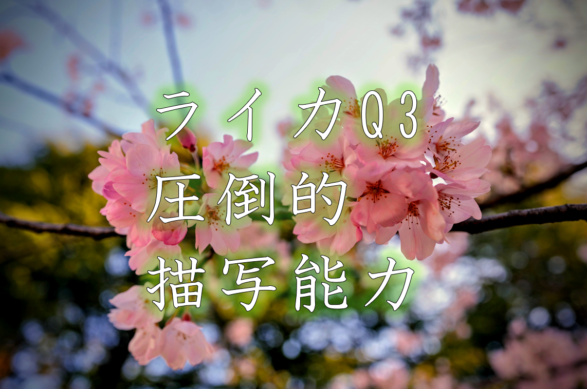 LX2❤️ライカ大口径神レンズ搭載❤️春の桜をライカで撮ろう