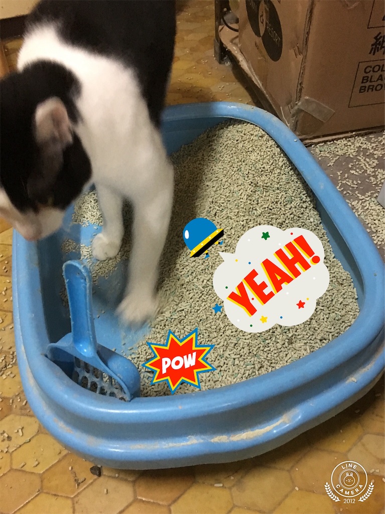 f:id:honmachisuji:20180329113309j:image f:id:honmachisuji:20180329113309j:image