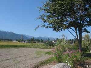 f:id:honmal:20090920142050j:image