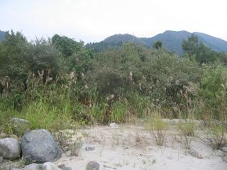 f:id:honmal:20090927165610j:image