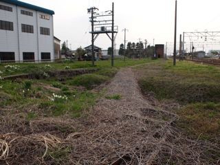 f:id:honmal:20110430173320j:image