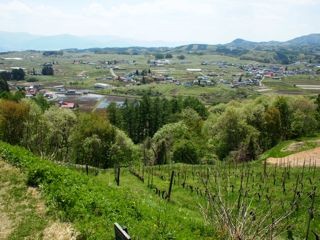 f:id:honmal:20110514114502j:image:w360
