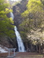 20130429142657