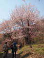 20130505095557