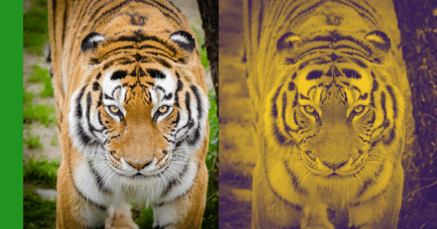 f:id:honnneco:20210906163409p:plain