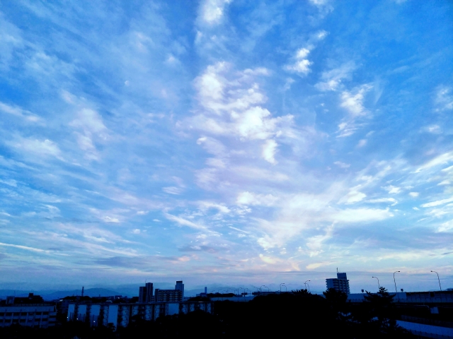 f:id:honno-yokomichi:20200608003216j:plain