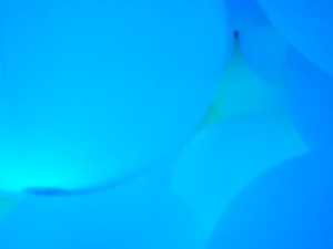 f:id:honobonowahuu:20181125205314j:image f:id:honobonowahuu:20181125205314j:image