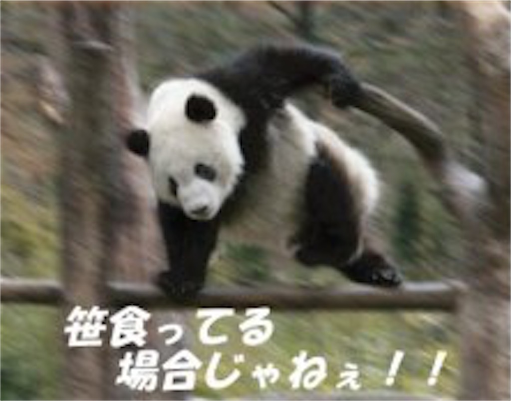 英語をひたすら勉強しても意味ないんです Ca志望の女子大生必見 １日１時間の時短術を学ぶだけで３ヶ月後にはtoeic700超え 第一志望社の内定をもらって親に自慢の娘だと言わせようプロジェクト