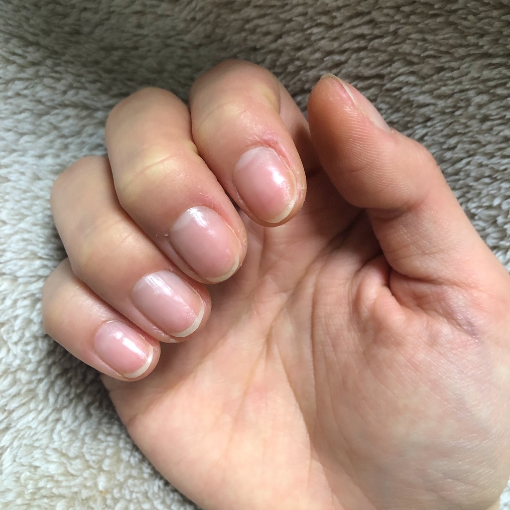 f:id:honohono00:20190211200537j:plain