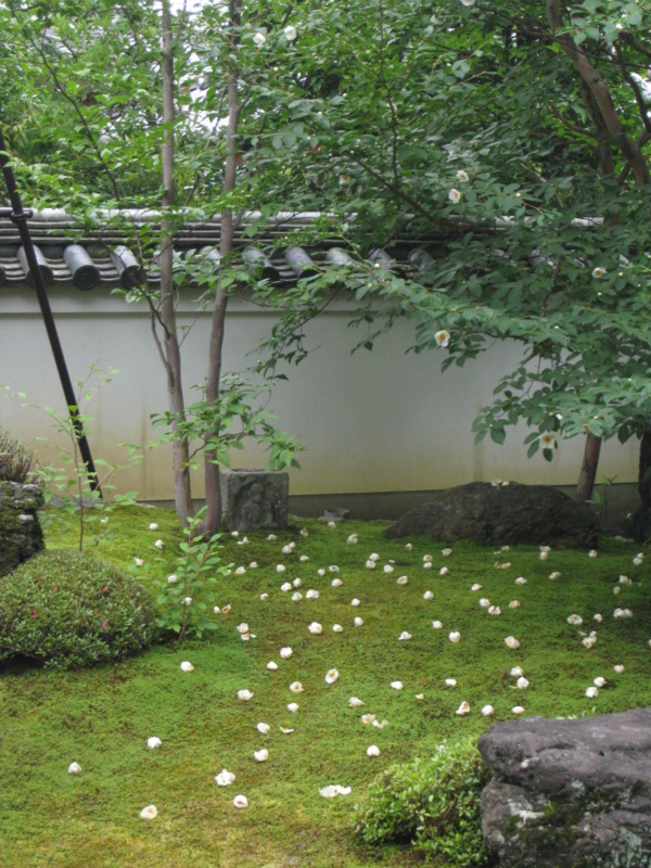 f:id:honokahonolulu:20100619134230j:image:w360