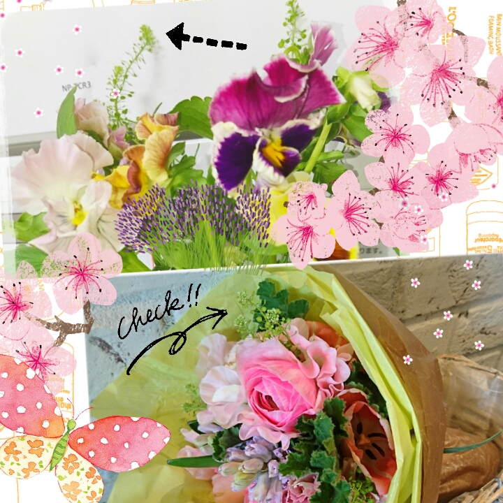 f:id:honokahonolulu:20170204162808j:image:w360