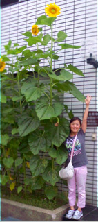 f:id:honokasha:20100714001856j:image f:id:honokasha:20100714001856j:image