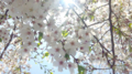 20120412132542