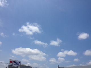 f:id:honokasha:20120626112222j:image f:id:honokasha:20120626112222j:image