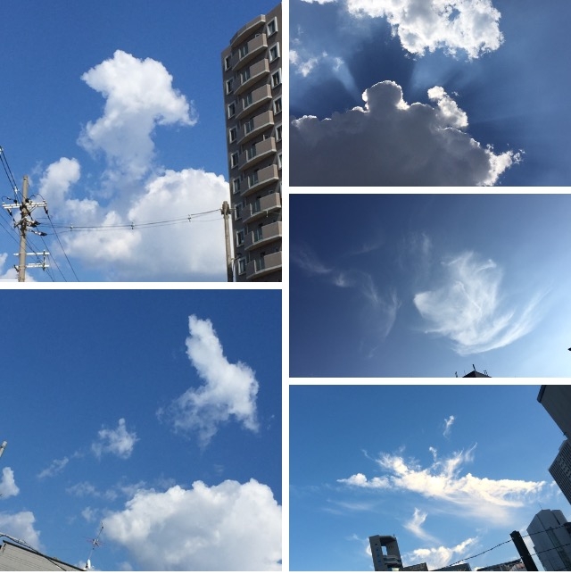 f:id:honokasha:20160808110556j:image f:id:honokasha:20160808110556j:image