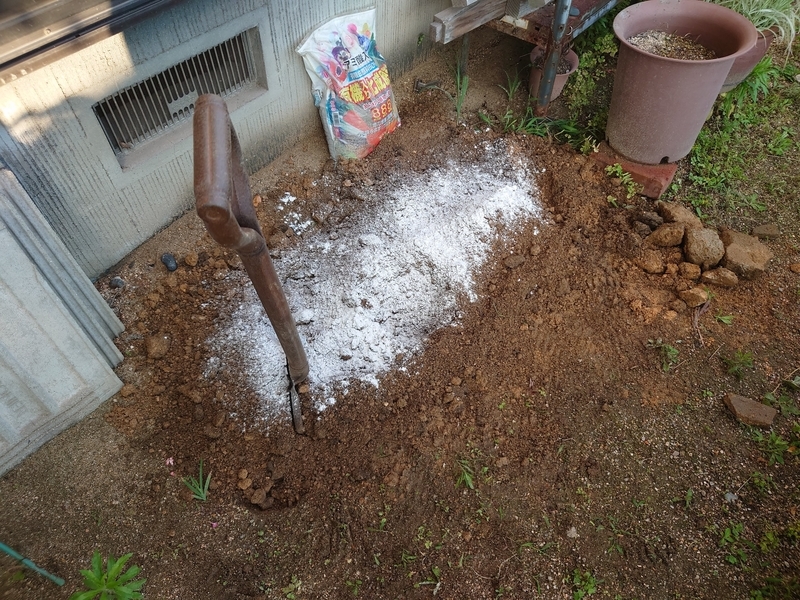 f:id:honokyabetsu:20210610125803j:plain