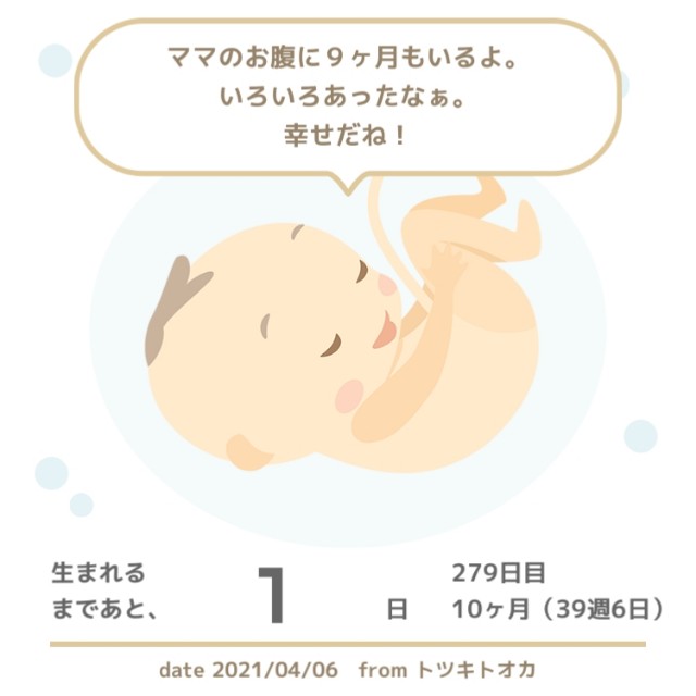 f:id:honsekichihatokyotower:20210406110141j:image f:id:honsekichihatokyotower:20210406110141j:image