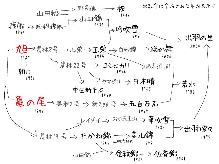 f:id:honshudo:20170729041059j:plain:w550