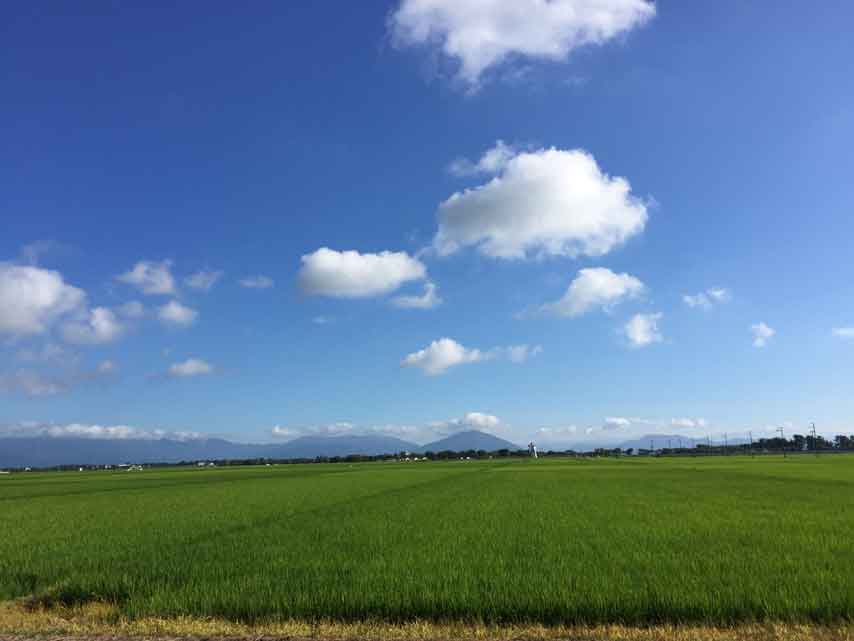 f:id:honshudo:20180729152511j:plain:w427