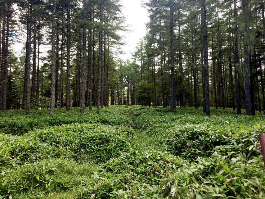 f:id:honshudo:20190811180747j:plain:w640 f:id:honshudo:20190811180747j:plain:w640