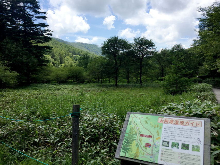 f:id:honshudo:20190811180806j:plain:w640 f:id:honshudo:20190811180806j:plain:w640