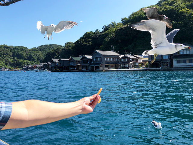 f:id:honshudo:20190926174743j:plain f:id:honshudo:20190926174743j:plain