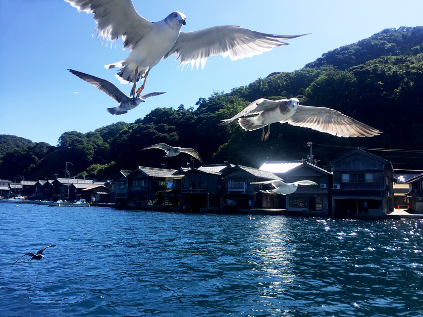 f:id:honshudo:20190926230251j:plain f:id:honshudo:20190926230251j:plain