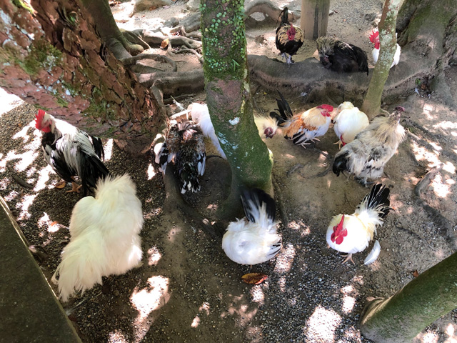 f:id:honshudo:20190929044532j:plain f:id:honshudo:20190929044532j:plain