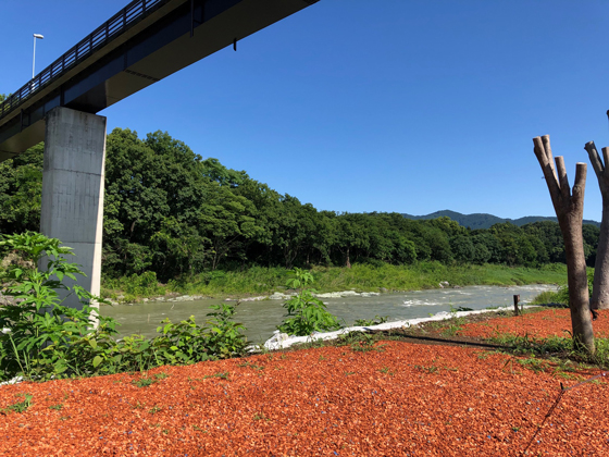 f:id:honshudo:20200704162356j:plain