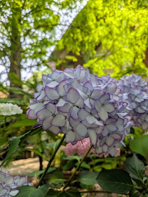 f:id:hontodoramato:20250707085521j:image
