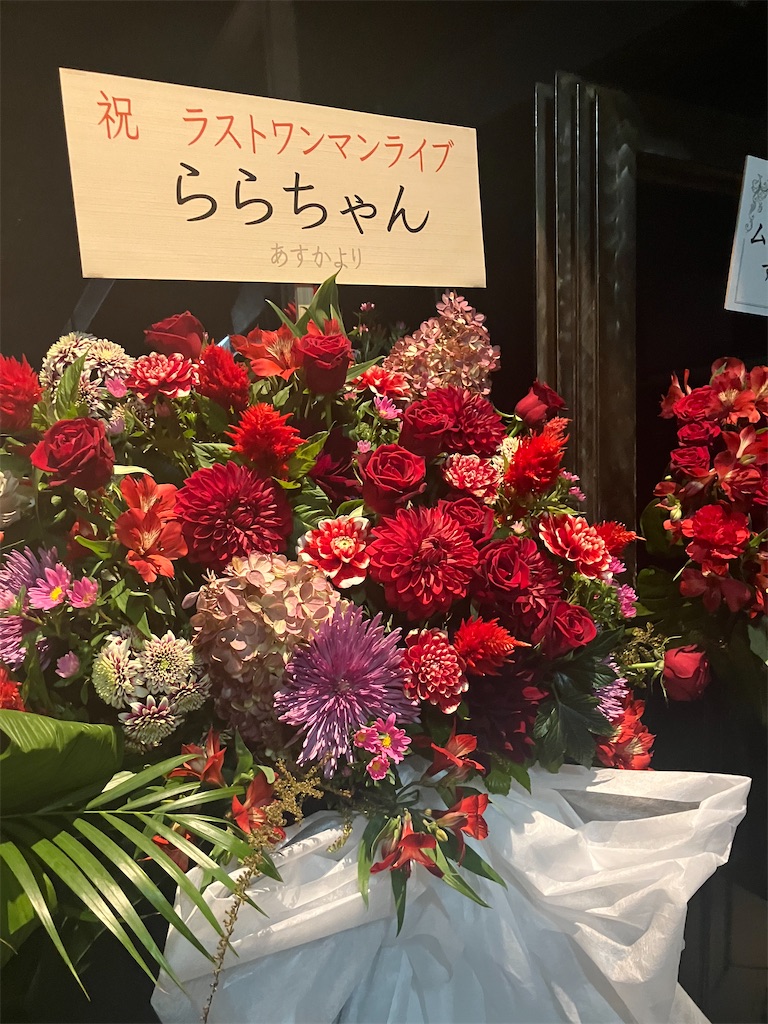 f:id:hontuma4262:20260215160243j:image