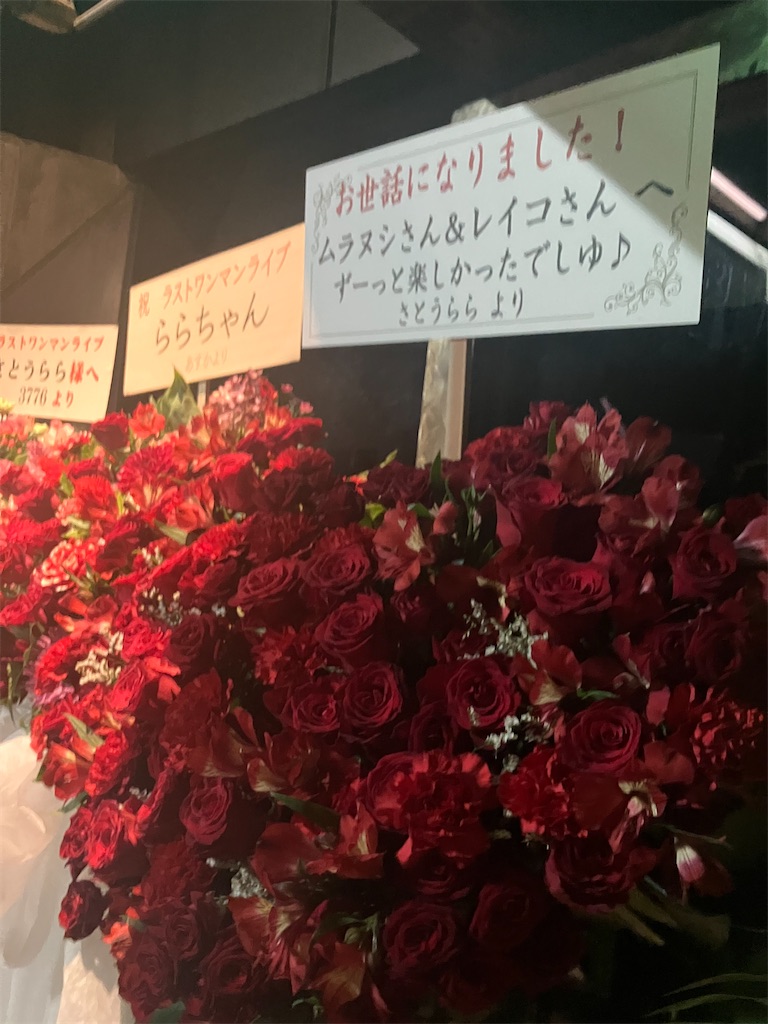 f:id:hontuma4262:20260215160259j:image