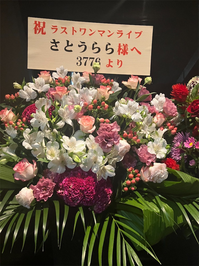 f:id:hontuma4262:20260215160336j:image