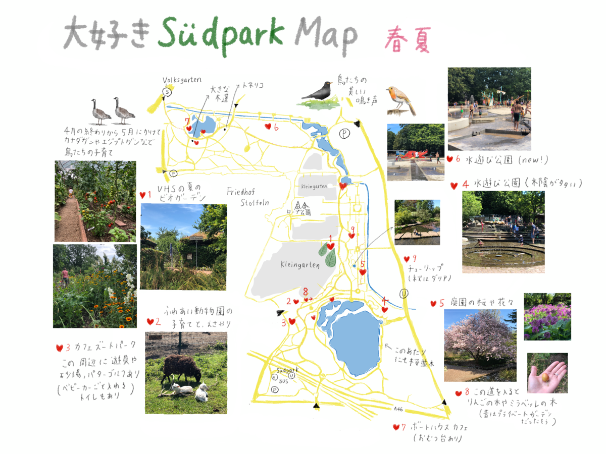 f:id:honwakasou:20191113192307p:plain f:id:honwakasou:20191113192307p:plain