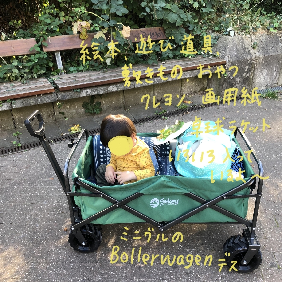 f:id:honwakasou:20200120073238j:plain f:id:honwakasou:20200120073238j:plain