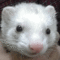 f:id:honyakumystery:20120628124233j:image:small:left