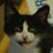 f:id:honyakumystery:20131211100501j:image:small:left f:id:honyakumystery:20131211100501j:image:small:left