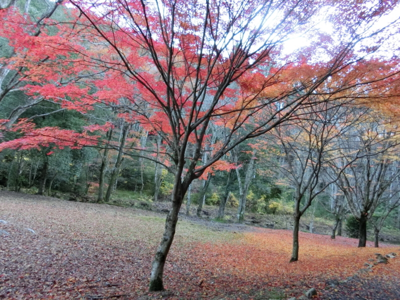 f:id:honyakumystery:20141129162123j:image:w500 f:id:honyakumystery:20141129162123j:image:w500