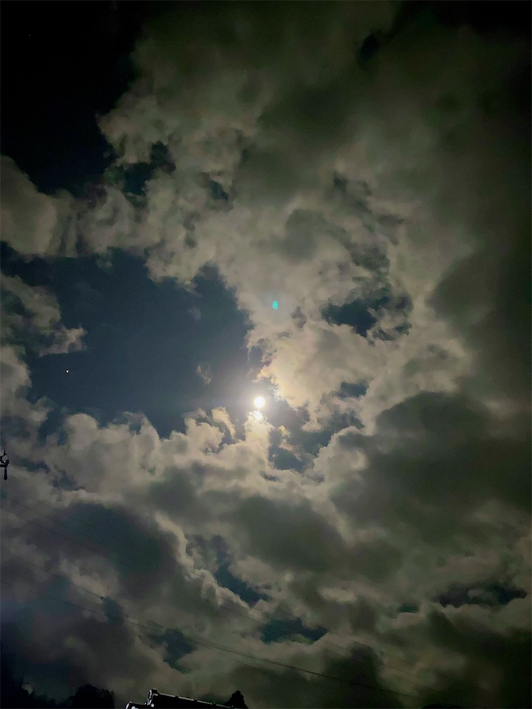 f:id:honyara2525:20201002092217j:image