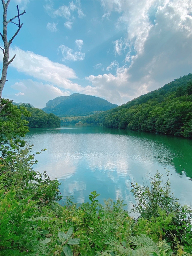 f:id:honyara2525:20201006081301j:image