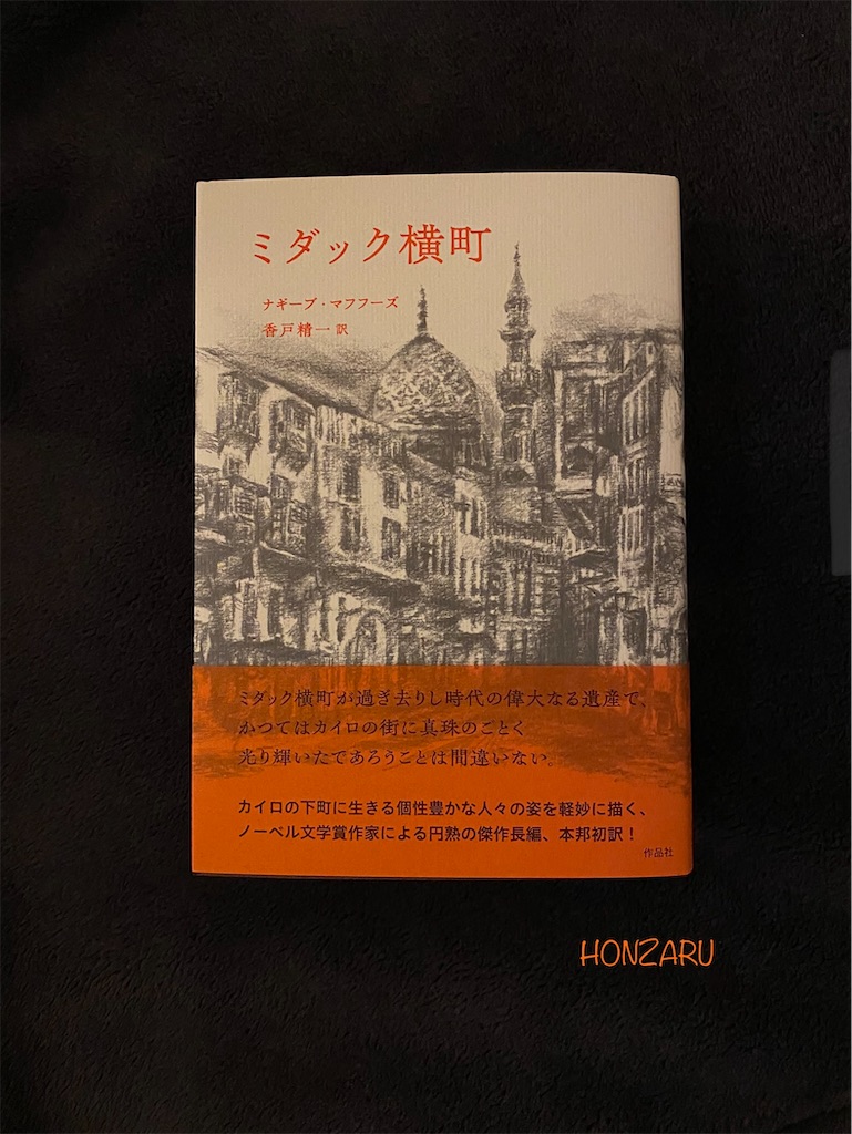 f:id:honzaru:20230228220656j:image