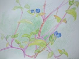 f:id:hoochie:20100715181949j:image:right f:id:hoochie:20100715181949j:image:right