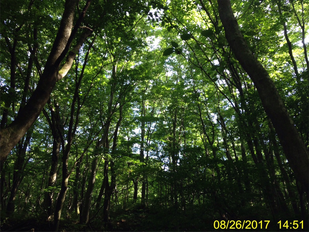 f:id:hookrow:20170826150708j:image f:id:hookrow:20170826150708j:image