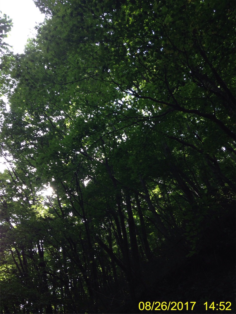 f:id:hookrow:20170826150719j:image f:id:hookrow:20170826150719j:image