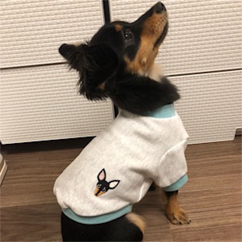 f:id:hooomix222:20190416225650j:image f:id:hooomix222:20190416225650j:image