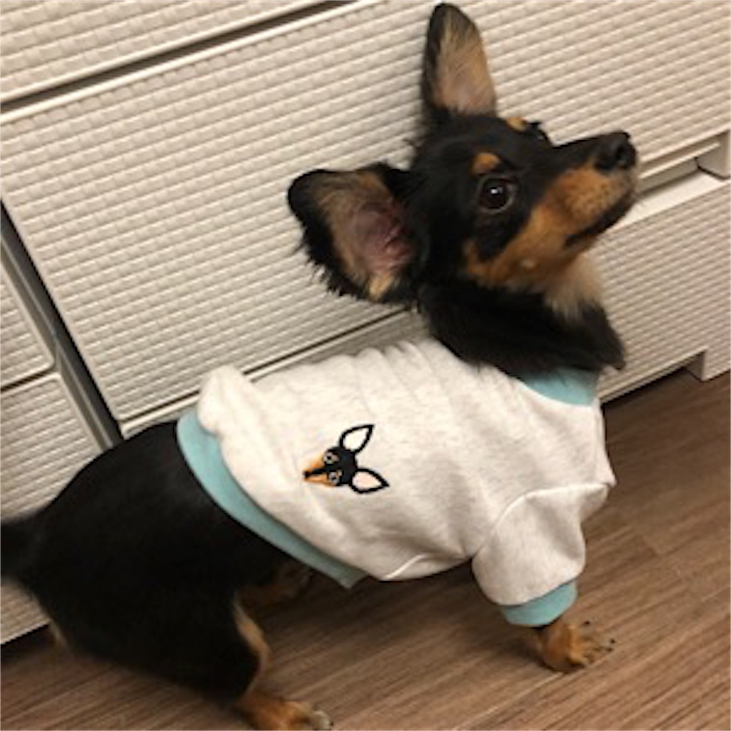 f:id:hooomix222:20190416225655j:image f:id:hooomix222:20190416225655j:image