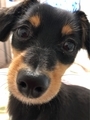 20190425222800