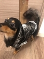 20200308225753