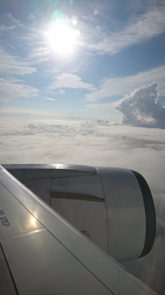 f:id:hooshinori:20180812235107j:plain